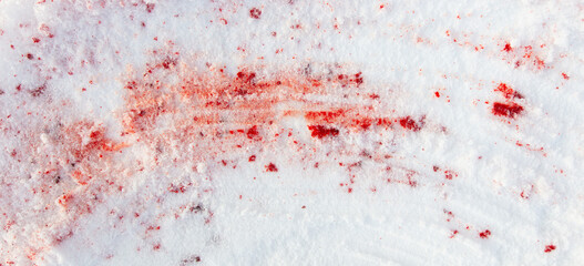 Drops of blood on white snow