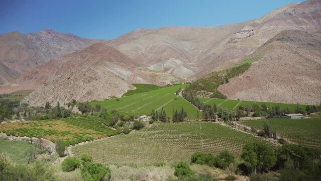 Aerial Panorama Of The Vineyards In Elqui Valley, Coquimbo Region, Chile. - Drone Panning Shot