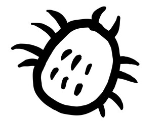 かわいいダニ／モノクロ手描きイラスト素材