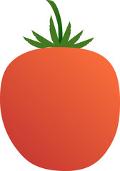 tomato vegetable