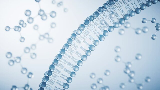 Transparent cytomembrane structure, 3d rendering.