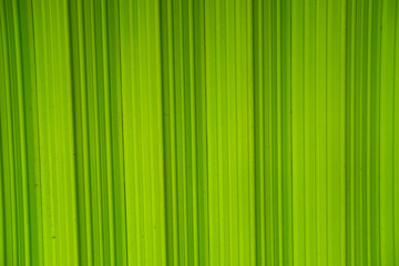 green background with stripes