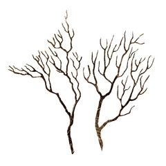 Branch Watercolor. Isolate. For prints, printing, stickers, tags, corporate identity, web design, invitations, patterns.