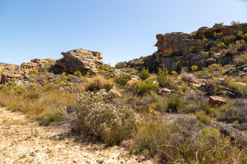 Fototapeta na wymiar Landscape near Eselbank in the Cederberg Mountains with green bushes in the foreground and some hills in the background