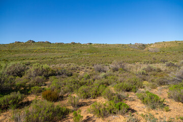 Fototapeta na wymiar Panorama of the landscape in the northern Cederberg Mountains