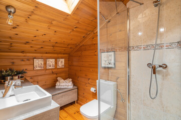 Decorated interior of country cottage. Shower cabin, sink and toilet in bathroom with wooden walls
