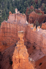 Bryce canyon cliffs, Utah, USA.