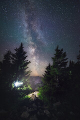 the milky way and a myriad of stars above the summer forest and spruce trees
