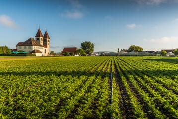Fototapeta na wymiar Church of St. Peter and Paul and vegetable field on Reichenau Island, Baden-Wuerttemberg, Germany