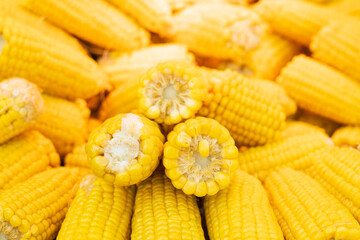 Corn texture. Yellow corns as background