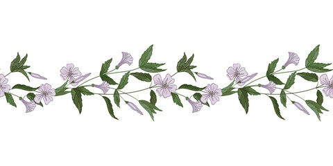 Horizontal border of field and medicinal herbs and flowers. Botanical seamless frame. Drawn by hand.