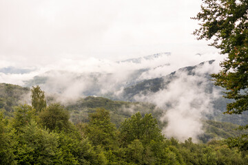 Fototapeta na wymiar Mountains in clouds at sunrise in summer. mountain with green trees in fog. Beautiful landscape with high rocks, forest, sky. mountain in clouds