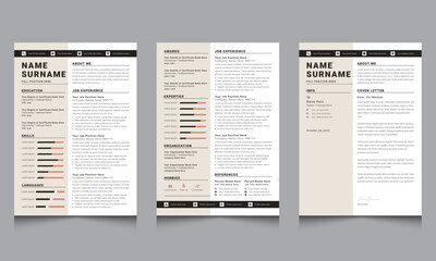 Clean and Professional Resume Layouts and Curriculum Vitae Templates