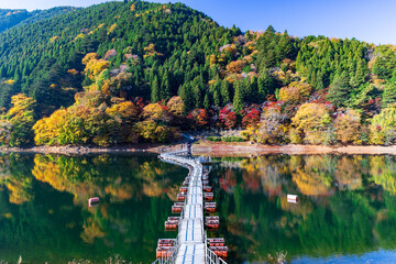 紅葉の奥多摩湖とドラム缶橋