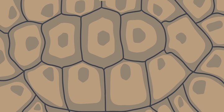 Artistic modern simple minimalist abstraction - tortoise shell pattern. The pattern is hand drawn on the background