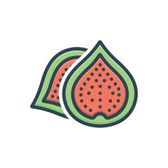 Color illustration icon for fig