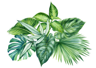 Watercolor Jungle green plant. Tropical leaves isolated on white background. Botanical illustration 
