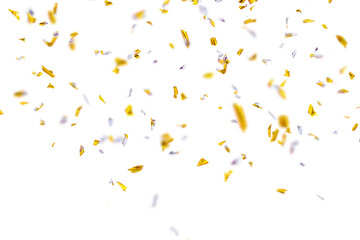 Flying gold silver shiny tinsel or confetti isolated png. Festive effect. - obrazy, fototapety, plakaty