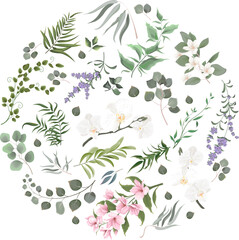Vector Floral Set. White orchid, magnolia, lavender, eucalyptus, sakura. Different kinds of plants and leaves. Collection for wedding design 