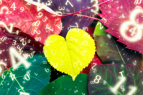numerology, yellow leaf in the shape of the heart among the colored leaves, surrounded by numbers