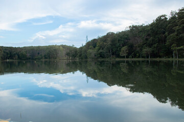 Landscape of trees and sky and reflections on the water surface