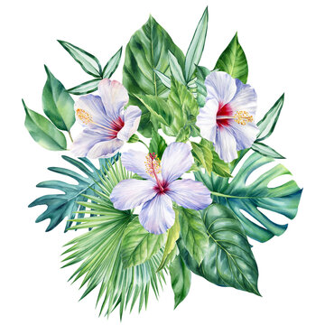 Watercolor Jungle green plant.Tropical leaves and flower hibiscus isolated on white background. Botanical illustration