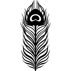 Obraz premium Element design peacock feather nature.Art deco hand drawn style.