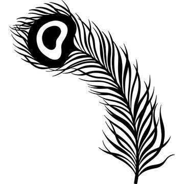 recommend clip art: Element design peacock feather nature.Art deco hand drawn style.
