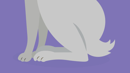 Four paws of a cat - illustration