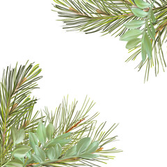Winter, Christmas frame from leaves, coniferous, pine branches.