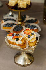 Assortment of delicious and colorful dessert, mixed berry tart, Lemon Meringue Tart, made by pastry chef. All look tasty and delightful. Perfect for party.