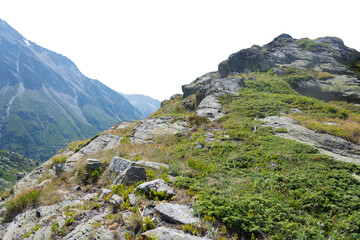 Fototapeta premium Isolated cutout mountains in the Alps in summer on a white background