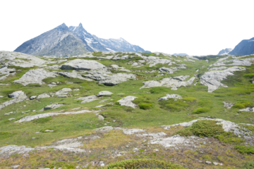 Isolated cutout mountains in the Alps in summer on a white background