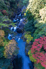 紅葉の鳩ノ巣渓谷