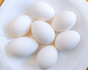 Eggs chicken egg hen-eggs poultry white hen eggs fowl eggs anda oeuf ei uovo heuvo in a plate bowl closeup view image stock photo