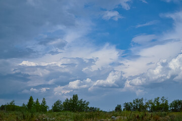 Beautiful sky and white cumulus clouds on it over trees and a field with green grass