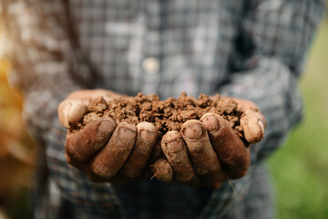 Oldman farmer holding soil in cupped hands in sun light.