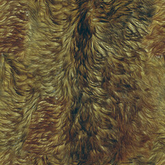 Real Goat Fur Texture