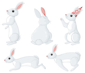 Weiße Kaninchen in verschiedenen Posen