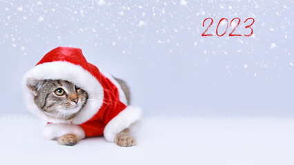 Kitten looks at the inscription 2023. Surprised Cat in Santa costume. Christmas Cat card. Kitten Santa Claus on the white background. Merry Christmas. Web-banner with copy space. Happy New Year Winter