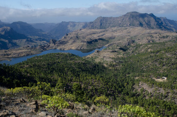 Fototapeta na wymiar Las Ninas dam. The Nublo Rural Park. Gran Canaria. Canary Islands. Spain.