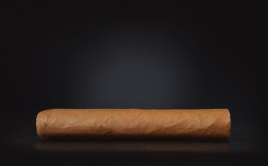 Tobacco rolled leaf cigar isolated on black low key