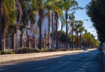 Obraz premium Beautiful view of trees through the streets of Malaga