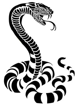 a poisonous snake in a defensive position. Attacking posture. Silhouette. Black and white tattoo-style vector illustration
