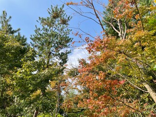 水と自然と公園