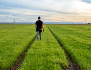 hombre andando en cultivo