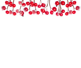 Xmas border. Christmas red winter berries isolated on white background. Christmas concept