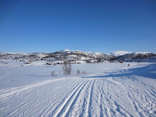 Scenic winter landscape in Rauland, Norway, with cross-country skiing track on a beautiful cold...