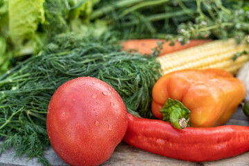 Fresh vegetables on a table in summer garden, in country house,soft focus.