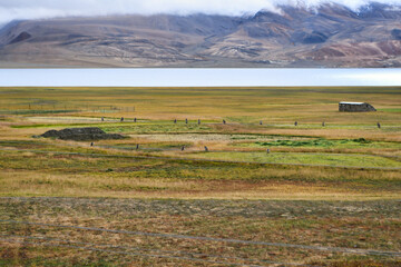 Obraz premium Tso Moriri is a lake in the Changthang Plateau of Ladakh in India. The lake and surrounding area are protected as the Tso Moriri Wetland Conservation Reserve. The lake is at an altitude of 4,522 m.